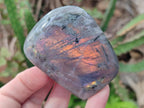 Polished Rare Purple Sunset Flash Labradorite Standing Display Pieces x 6 From Madagascar - Toprock Gemstones and Minerals 
