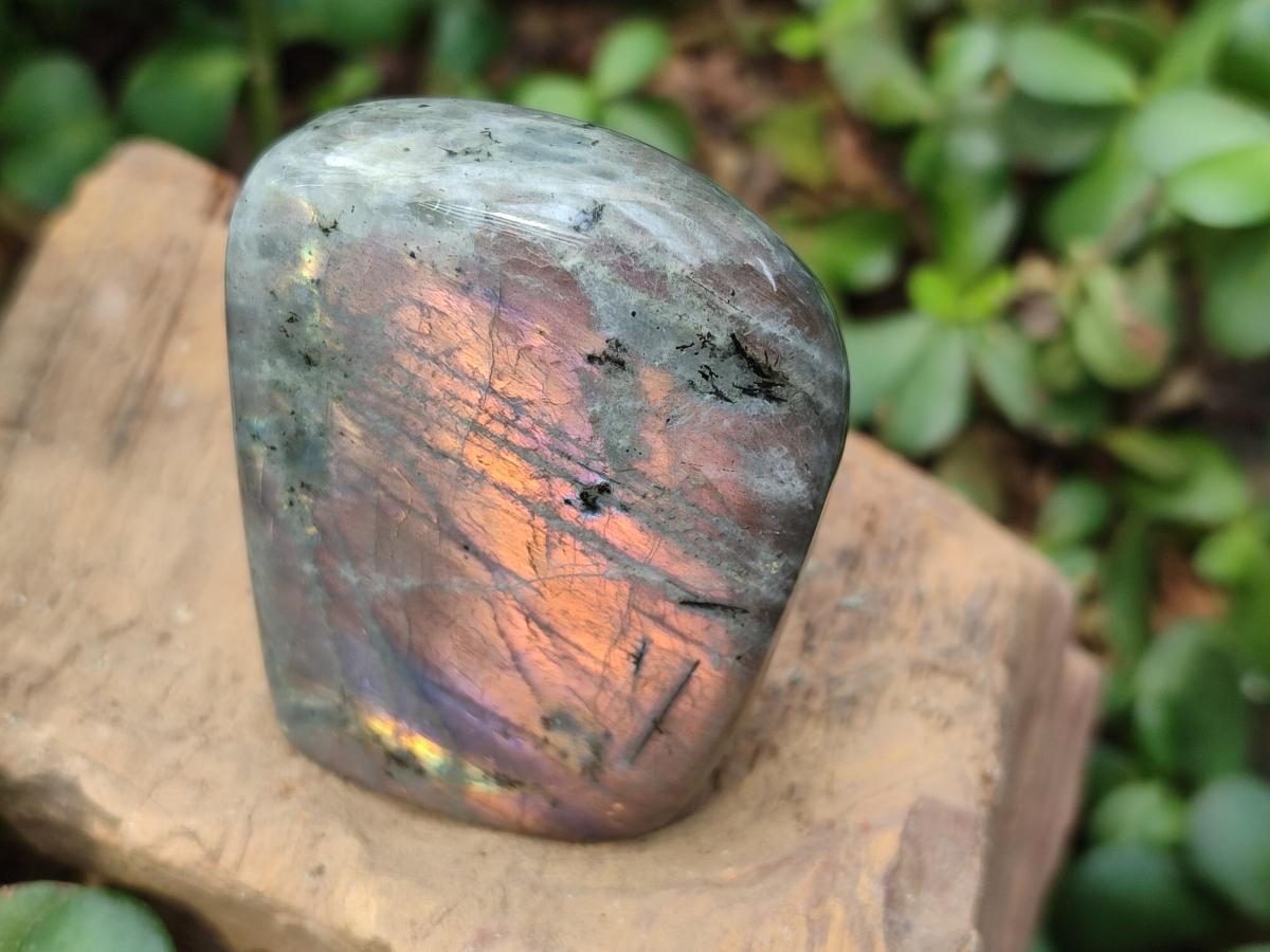 Polished Rare Purple Sunset Flash Labradorite Standing Display Pieces x 6 From Madagascar - Toprock Gemstones and Minerals 
