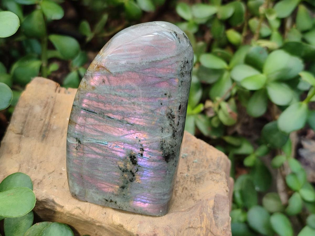 Polished Rare Purple Sunset Flash Labradorite Standing Display Pieces x 6 From Madagascar - Toprock Gemstones and Minerals 