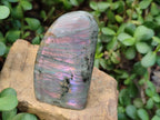 Polished Rare Purple Sunset Flash Labradorite Standing Display Pieces x 6 From Madagascar - Toprock Gemstones and Minerals 