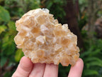Natural Golden Limonite Quartz Clusters x 12 From Solwezi, Zambia - Toprock Gemstones and Minerals 