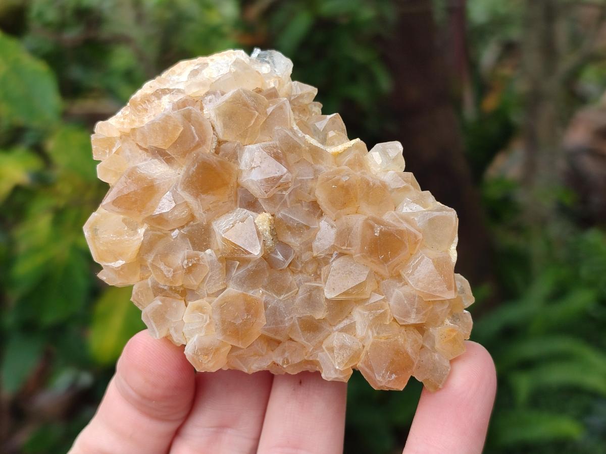 Natural Golden Limonite Quartz Clusters x 12 From Solwezi, Zambia - Toprock Gemstones and Minerals 