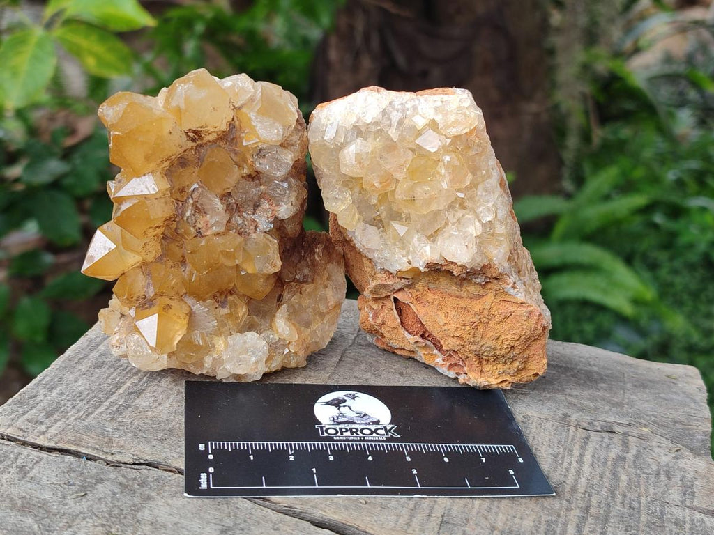 Natural Golden Limonite Quartz Clusters x 12 From Solwezi, Zambia - Toprock Gemstones and Minerals 