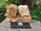 Natural Golden Limonite Quartz Clusters x 12 From Solwezi, Zambia - Toprock Gemstones and Minerals 