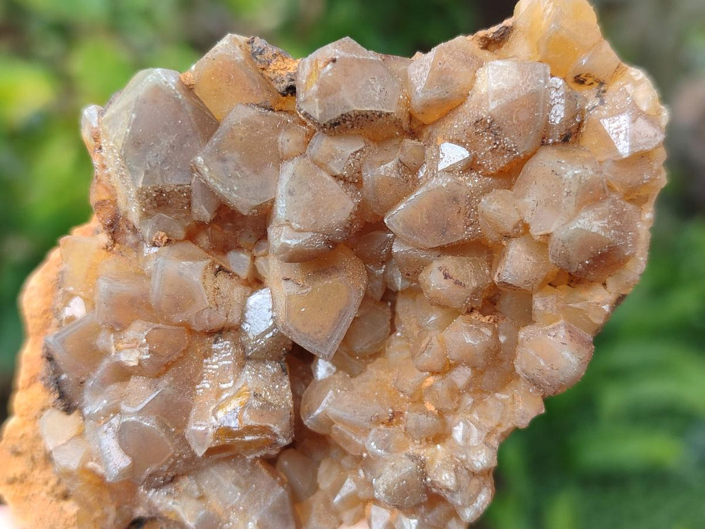 Natural Golden Limonite Quartz Clusters x 12 From Solwezi, Zambia - Toprock Gemstones and Minerals 