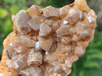Natural Golden Limonite Quartz Clusters x 12 From Solwezi, Zambia - Toprock Gemstones and Minerals 
