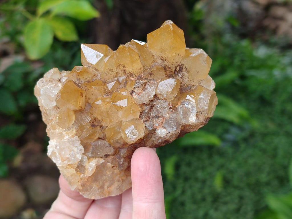 Natural Golden Limonite Quartz Clusters x 12 From Solwezi, Zambia - Toprock Gemstones and Minerals 