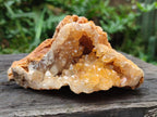 Natural Golden Limonite Quartz Clusters x 12 From Solwezi, Zambia - Toprock Gemstones and Minerals 