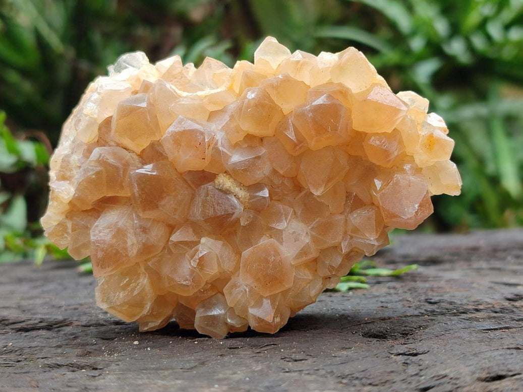 Natural Golden Limonite Quartz Clusters x 12 From Solwezi, Zambia - Toprock Gemstones and Minerals 