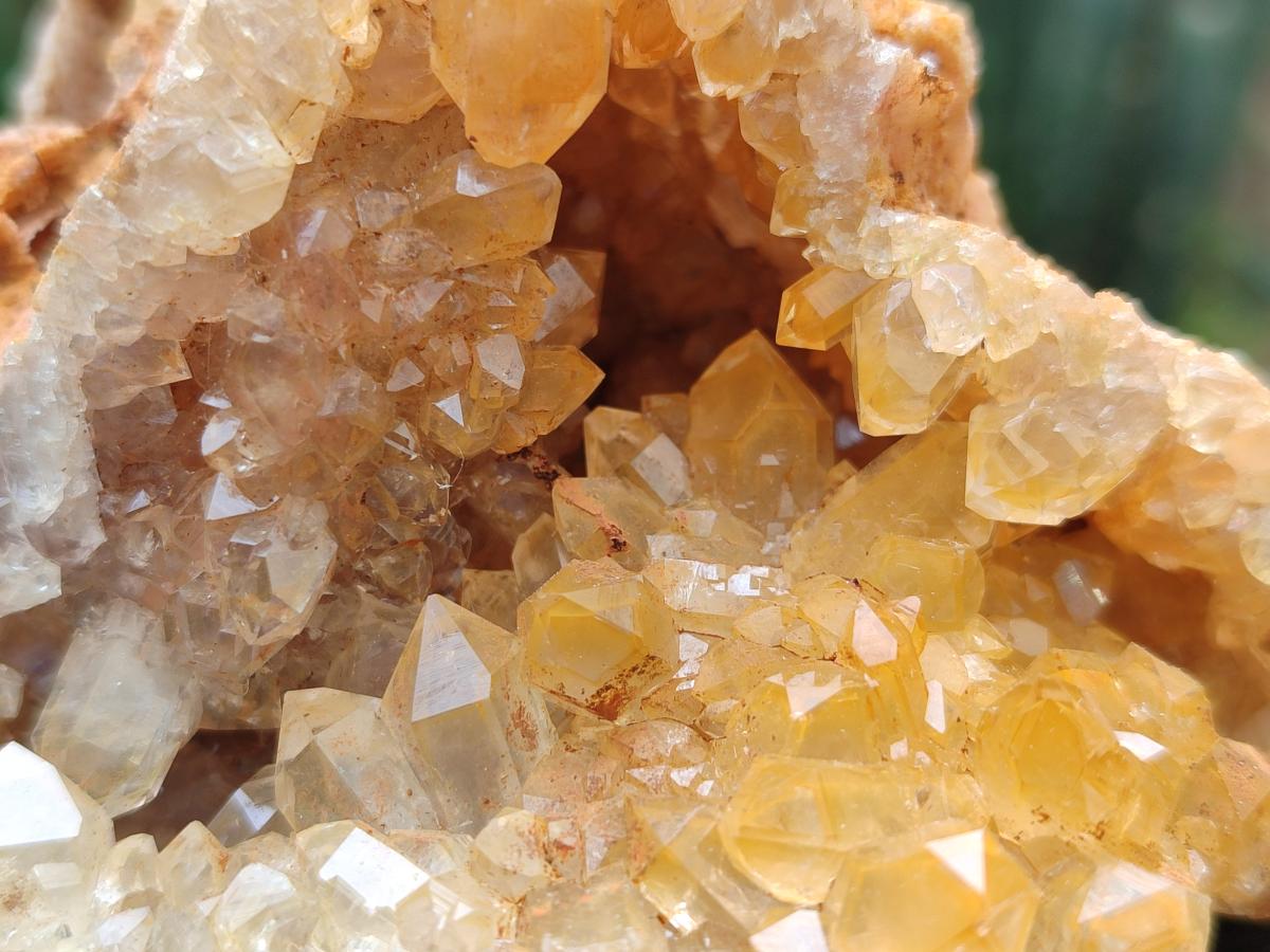 Natural Golden Limonite Quartz Clusters x 12 From Solwezi, Zambia - Toprock Gemstones and Minerals 