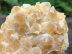 Natural Golden Limonite Quartz Clusters x 12 From Solwezi, Zambia - Toprock Gemstones and Minerals 