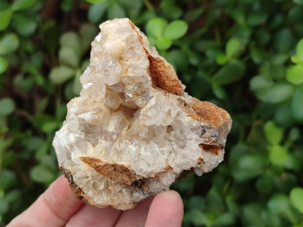 Natural Golden Limonite Quartz Clusters x 12 From Solwezi, Zambia - Toprock Gemstones and Minerals 