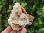 Natural Golden Limonite Quartz Clusters x 12 From Solwezi, Zambia - Toprock Gemstones and Minerals 