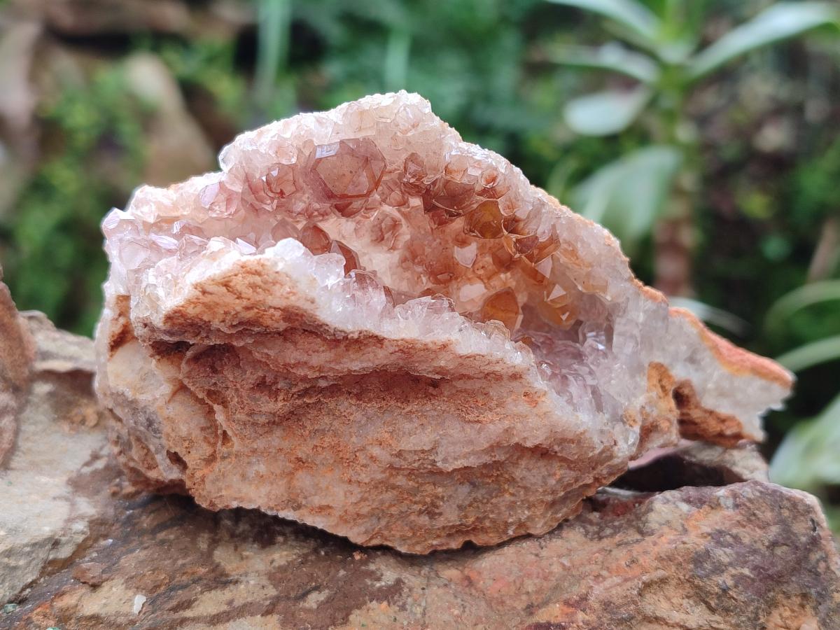 Natural Golden Limonite Quartz Clusters x 12 From Solwezi, Zambia - Toprock Gemstones and Minerals 