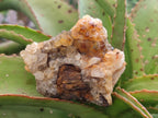 Natural Golden Limonite Quartz Clusters x 12 From Solwezi, Zambia - Toprock Gemstones and Minerals 