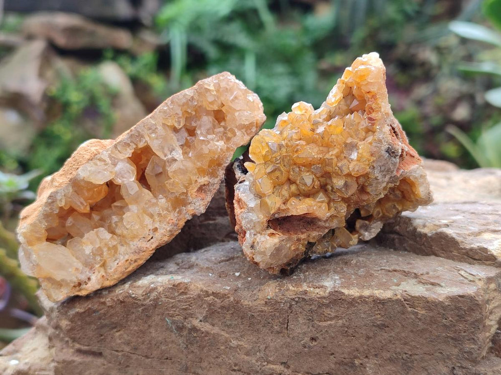 Natural Golden Limonite Quartz Clusters x 12 From Solwezi, Zambia - Toprock Gemstones and Minerals 