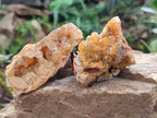Natural Golden Limonite Quartz Clusters x 12 From Solwezi, Zambia - Toprock Gemstones and Minerals 