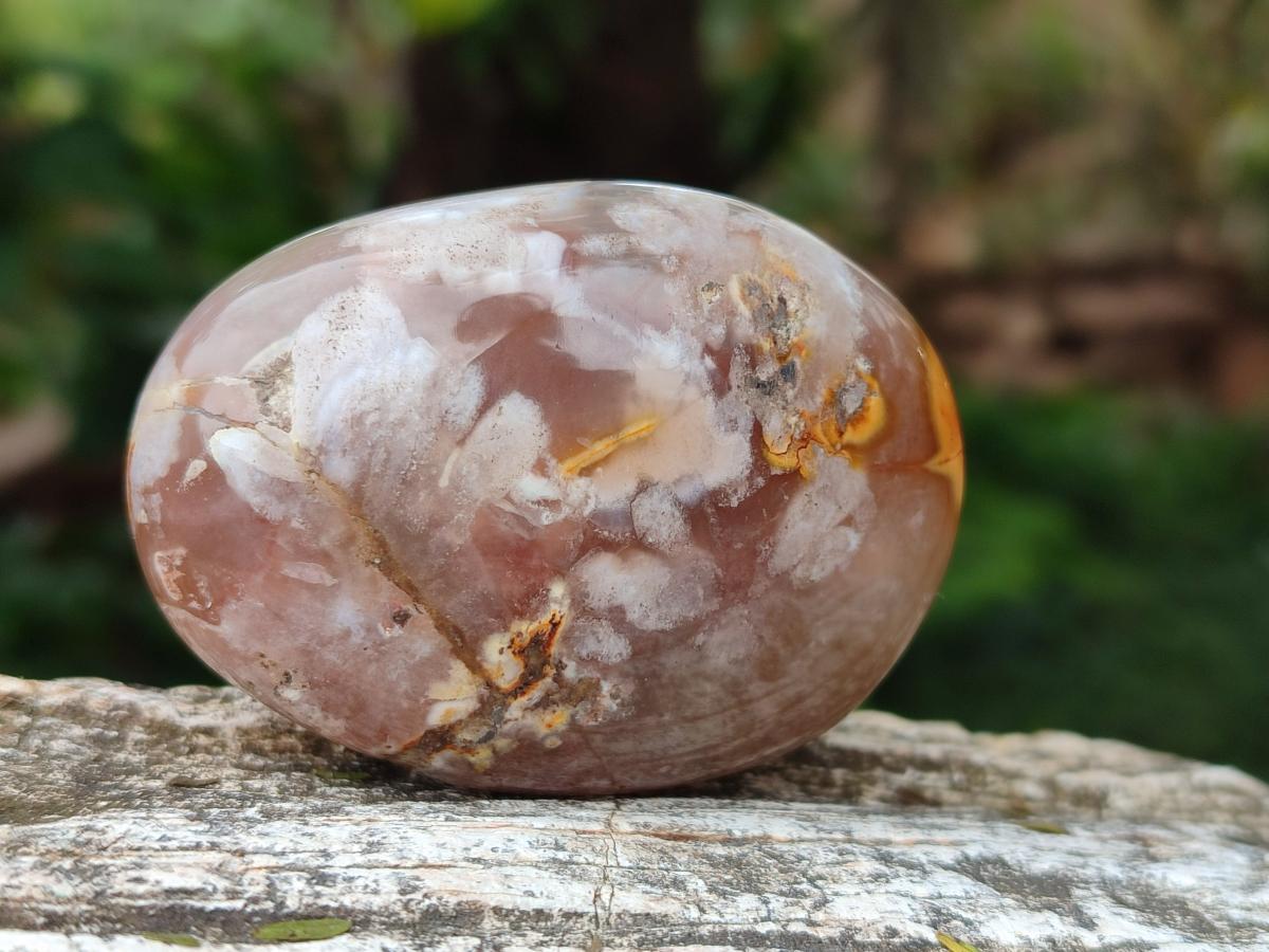 Polished Flower Agate Palm Stones x 12 From Antsahalova, Madagascar - Toprock Gemstones and Minerals 