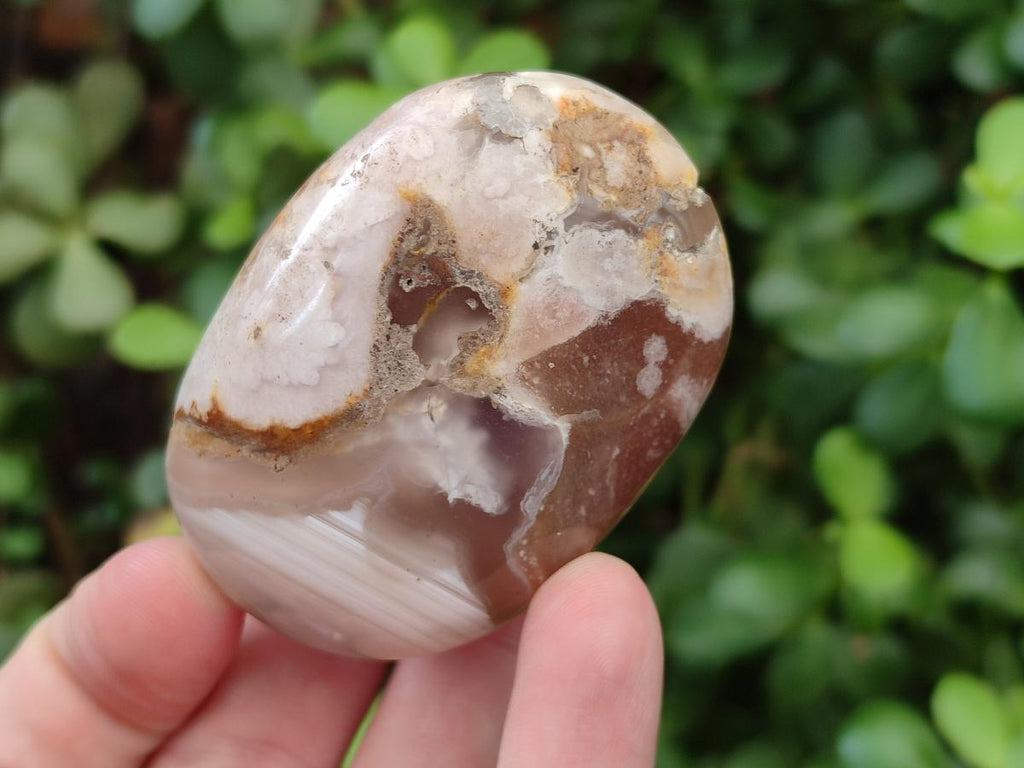 Polished Flower Agate Palm Stones x 12 From Antsahalova, Madagascar - Toprock Gemstones and Minerals 