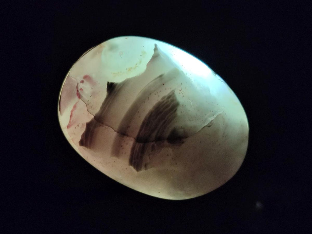 Polished Flower Agate Palm Stones x 12 From Antsahalova, Madagascar - Toprock Gemstones and Minerals 