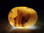 Polished Flower Agate Palm Stones x 12 From Antsahalova, Madagascar - Toprock Gemstones and Minerals 