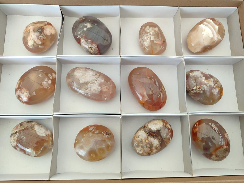 Polished Flower Agate Palm Stones x 12 From Antsahalova, Madagascar - Toprock Gemstones and Minerals 