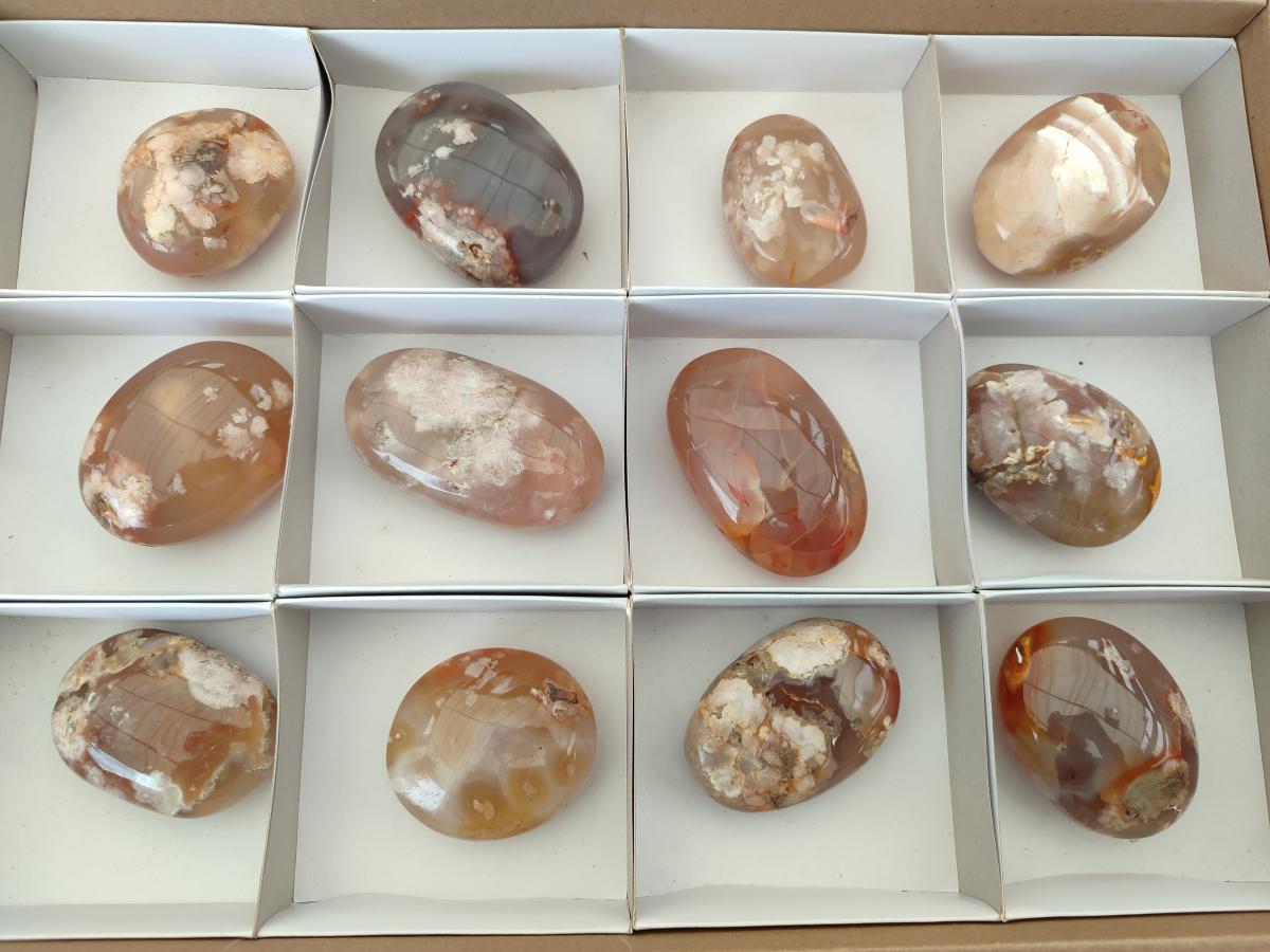 Polished Flower Agate Palm Stones x 12 From Antsahalova, Madagascar - Toprock Gemstones and Minerals 