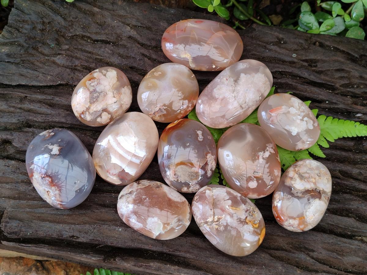 Polished Flower Agate Palm Stones x 12 From Antsahalova, Madagascar - Toprock Gemstones and Minerals 