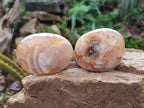 Polished Flower Agate Palm Stones x 12 From Antsahalova, Madagascar - Toprock Gemstones and Minerals 