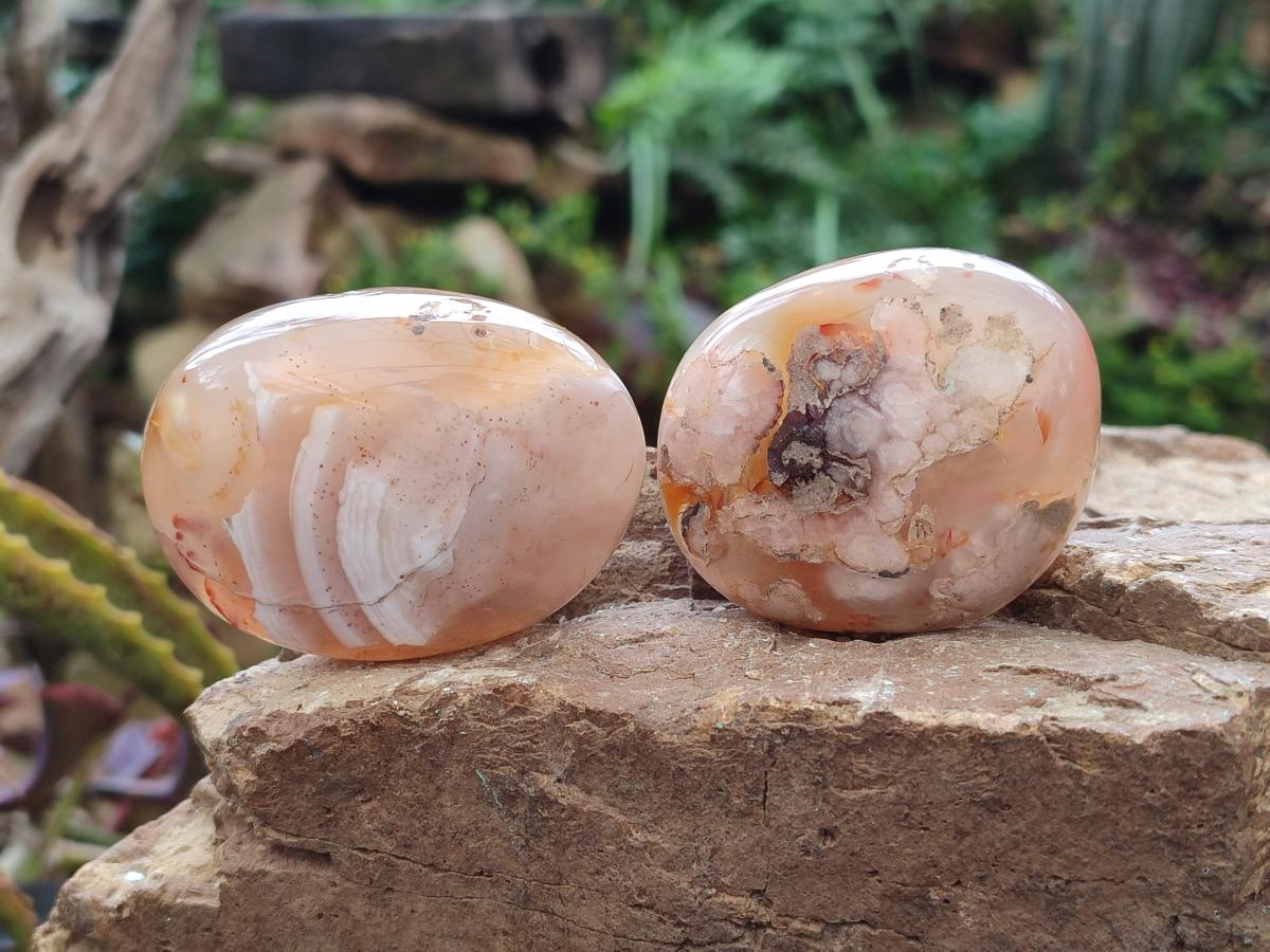 Polished Flower Agate Palm Stones x 12 From Antsahalova, Madagascar - Toprock Gemstones and Minerals 
