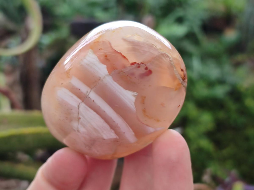 Polished Flower Agate Palm Stones x 12 From Antsahalova, Madagascar - Toprock Gemstones and Minerals 