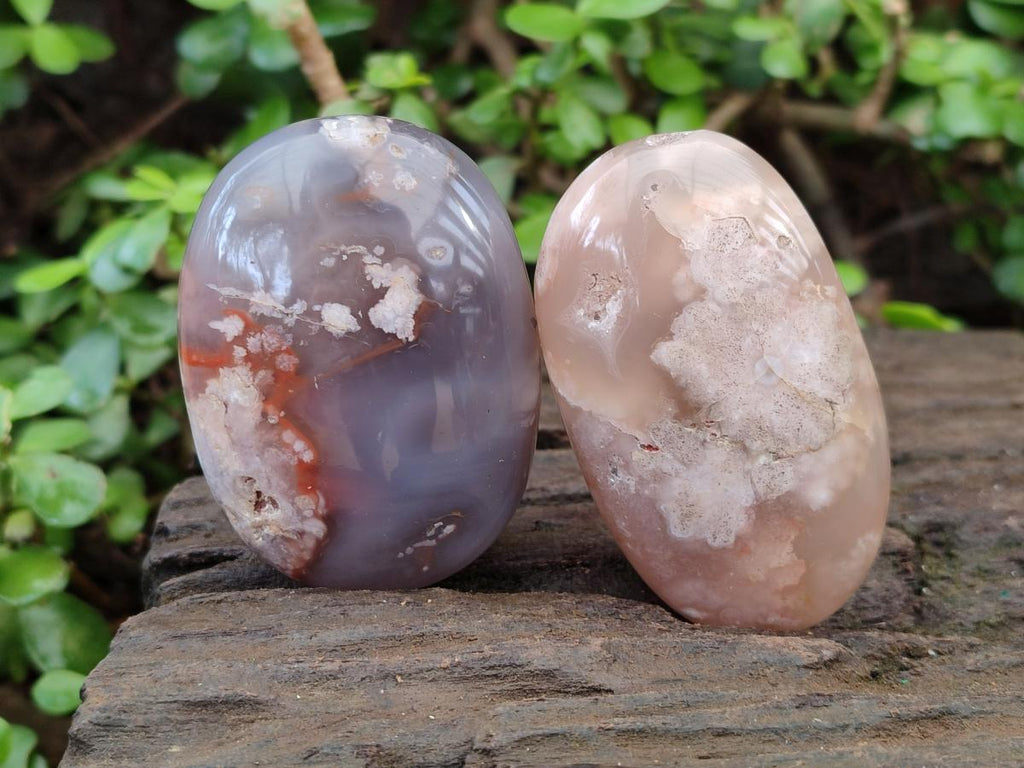 Polished Flower Agate Palm Stones x 12 From Antsahalova, Madagascar - Toprock Gemstones and Minerals 