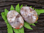 Polished Flower Agate Palm Stones x 12 From Antsahalova, Madagascar - Toprock Gemstones and Minerals 
