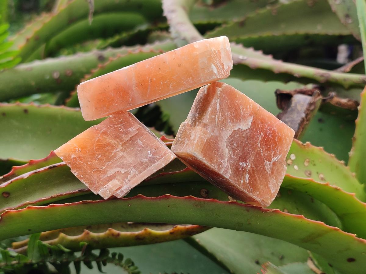 Natural Rhombohedral Sunset Orange Calcite Specimens x 35 From Spitzkop, Namibia - Toprock Gemstones and Minerals 