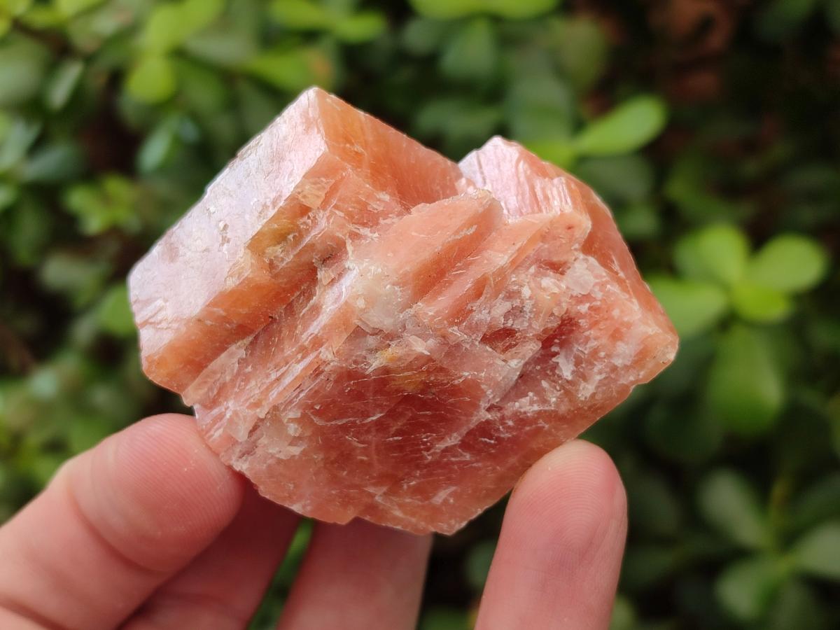 Natural Rhombohedral Sunset Orange Calcite Specimens x 35 From Spitzkop, Namibia - Toprock Gemstones and Minerals 
