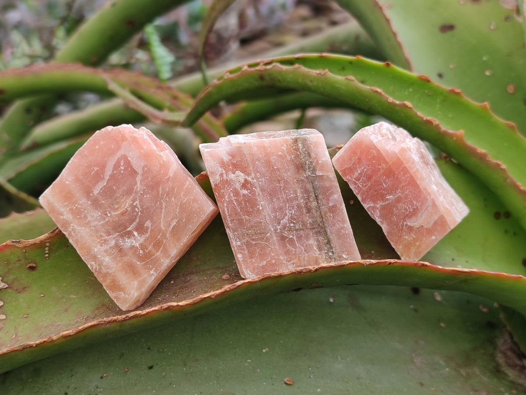 Natural Rhombohedral Sunset Orange Calcite Specimens x 35 From Spitzkop, Namibia - Toprock Gemstones and Minerals 