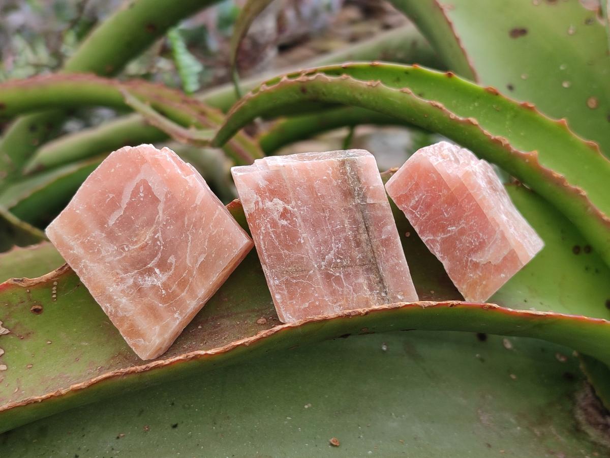 Natural Rhombohedral Sunset Orange Calcite Specimens x 35 From Spitzkop, Namibia - Toprock Gemstones and Minerals 