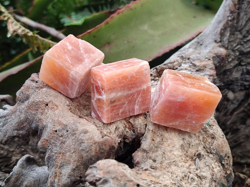Natural Rhombohedral Sunset Orange Calcite Specimens x 35 From Spitzkop, Namibia - Toprock Gemstones and Minerals 