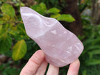 Polished Gemmy Rose Quartz Flames x 4 From Madagascar - Toprock Gemstones and Minerals 