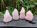 Polished Gemmy Rose Quartz Flames x 4 From Madagascar - Toprock Gemstones and Minerals 