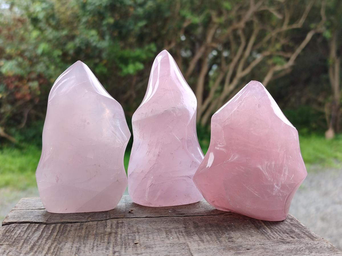 Polished Gemmy Rose Quartz Flames x 4 From Madagascar - Toprock Gemstones and Minerals 