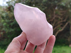 Polished Gemmy Rose Quartz Flames x 4 From Madagascar - Toprock Gemstones and Minerals 
