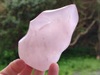 Polished Gemmy Rose Quartz Flames x 4 From Madagascar - Toprock Gemstones and Minerals 