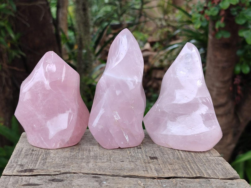 Polished Gemmy Rose Quartz Flames x 4 From Madagascar - Toprock Gemstones and Minerals 