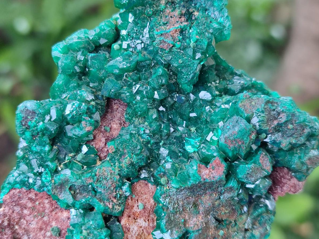 Natural Dioptase on Dolomite Specimens x 2 From Likasi, Congo - Toprock Gemstones and Minerals 