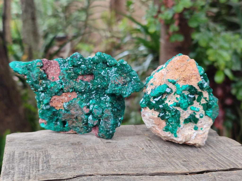 Natural Dioptase on Dolomite Specimens x 2 From Likasi, Congo - Toprock Gemstones and Minerals 