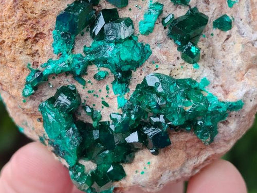 Natural Dioptase on Dolomite Specimens x 2 From Likasi, Congo - Toprock Gemstones and Minerals 