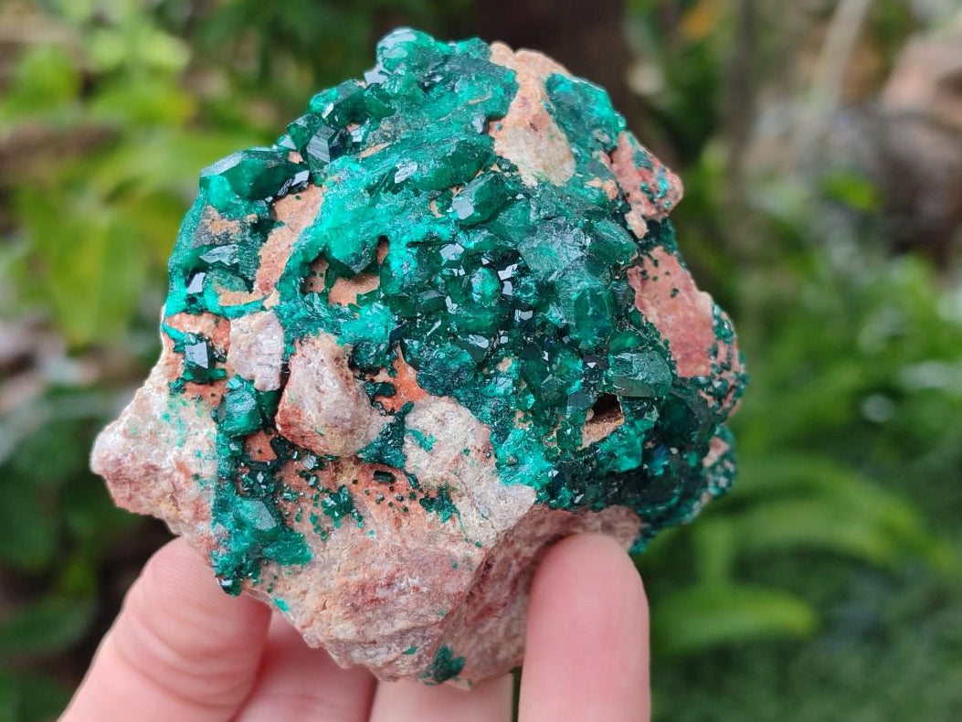 Natural Dioptase on Dolomite Specimens x 2 From Likasi, Congo - Toprock Gemstones and Minerals 