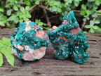 Natural Dioptase on Dolomite Specimens x 2 From Likasi, Congo - Toprock Gemstones and Minerals 