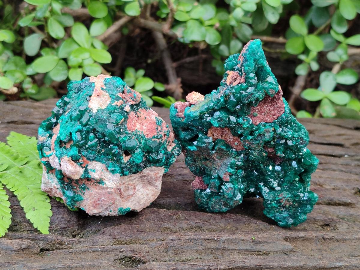 Natural Dioptase on Dolomite Specimens x 2 From Likasi, Congo - Toprock Gemstones and Minerals 